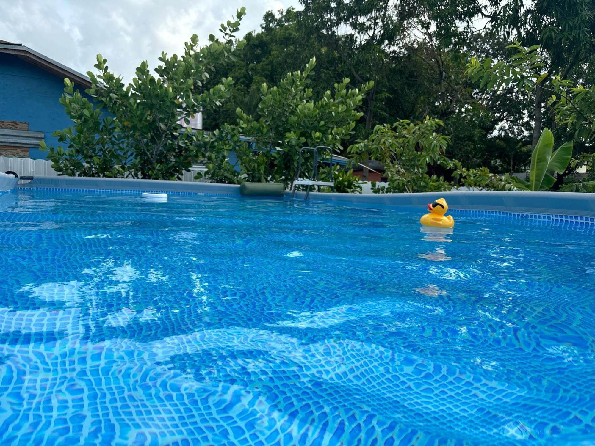 Mini House Oasis Hotel Miami Springs Bagian luar foto